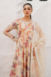 Traditional Pakistani Dress with Modern Touch