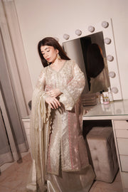 Silver Embroidered Tissue Ensemble Pakistani Party Dress
