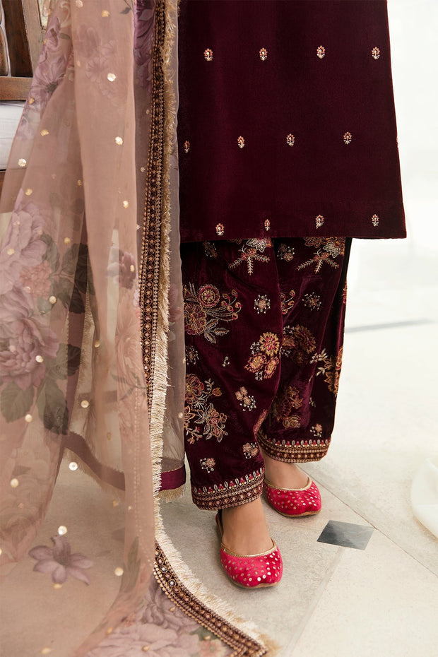 Intricate Velvet Embroidery Dress