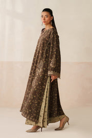 Stylish Pakistani Party Dress