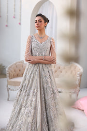 Elegant Silver Pakistani Bridal Dress for Celebrations