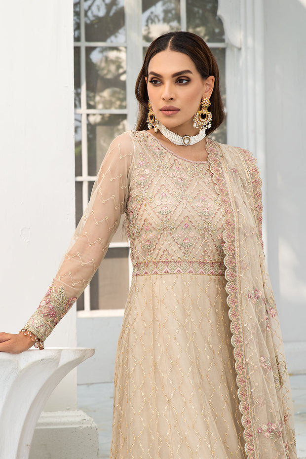 Festive Floral Embroidered Skin Beige Net Dress