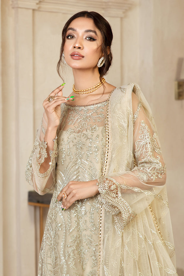Elegant Sequins Embroidered Net Dress in Classic Color