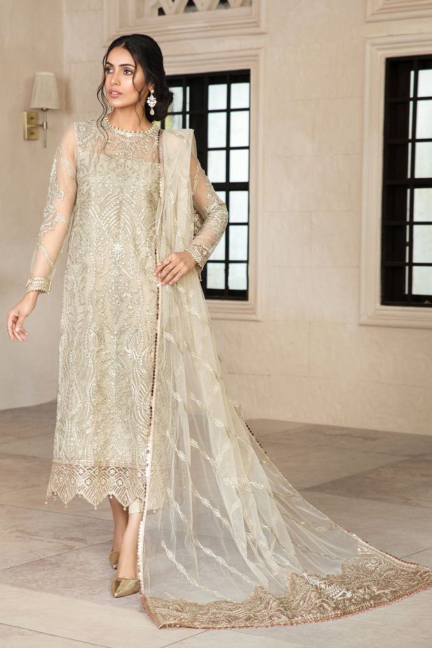 Elegant Sequins Embroidered Net Dress in Classic Color