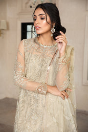 Elegant Sequins Embroidered Net Dress in Classic Color