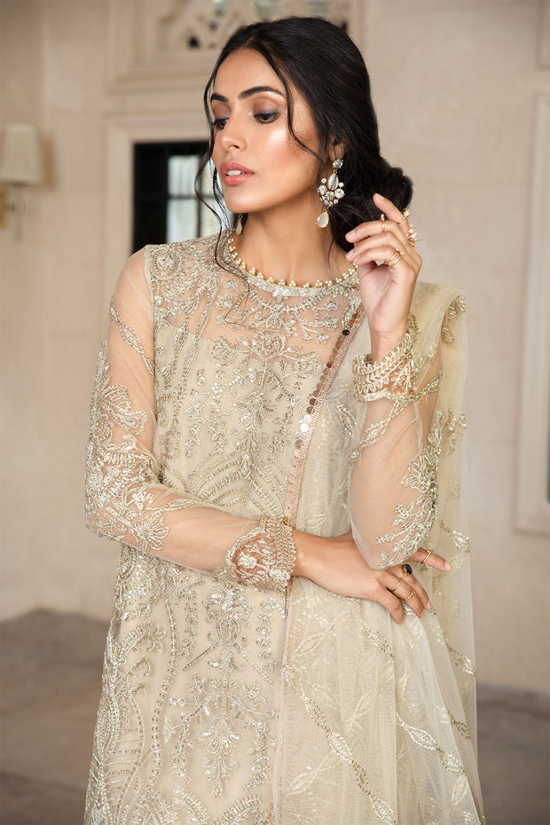 Elegant Sequins Embroidered Net Dress in Classic Color