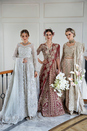 Champagne Pakistani Bridal Outfit with Intricate Embroidery