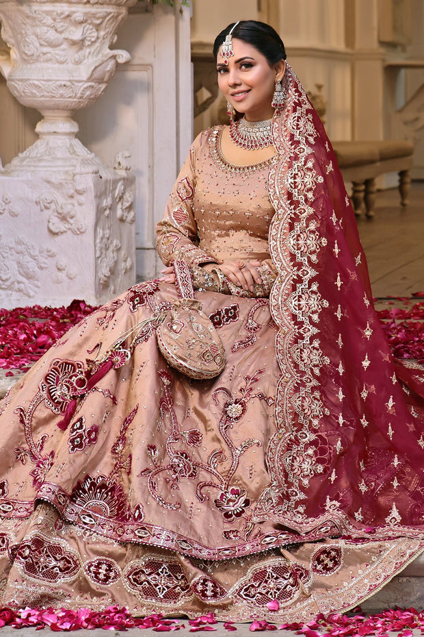 Elegant Pakistani Bridal Dress in Rose Pink & Maroon with Embroid
