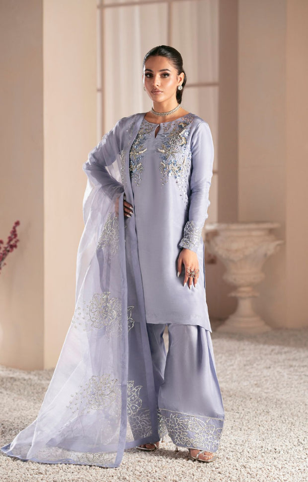 Stunning Crimson Pakistani Party Dress for Elegant Occasions