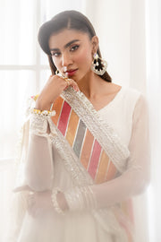 Stylish Pakistani Party Outfit