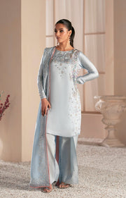 Elegant Silver Grey Pakistani Party Dress for Celebrations