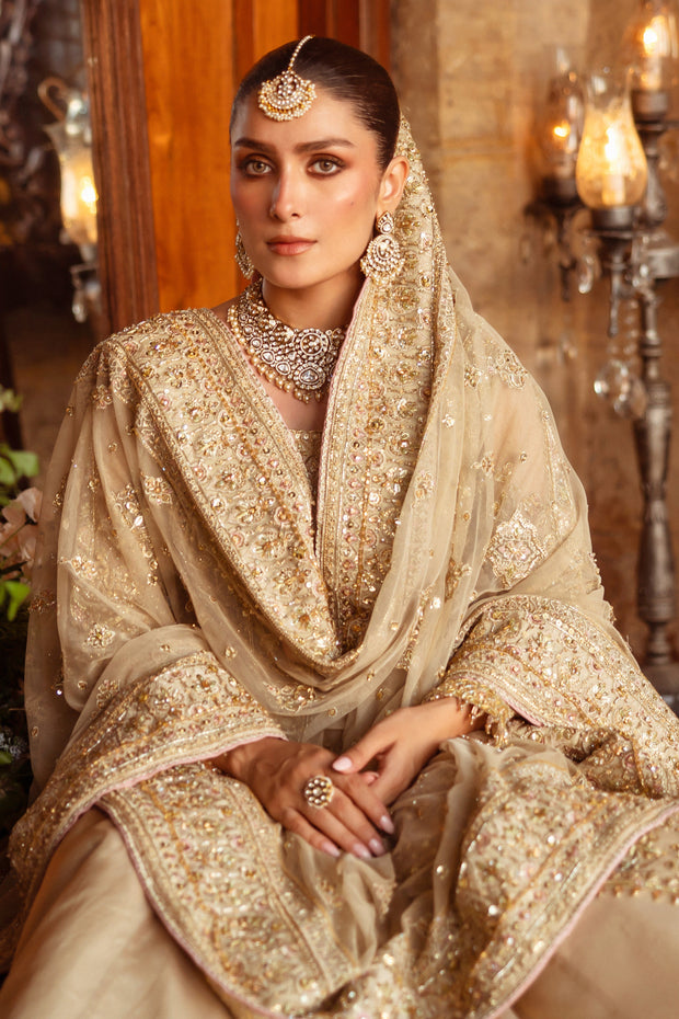 Exquisite Pakistani Bridal Dress with Hand Embroidery & Gown
