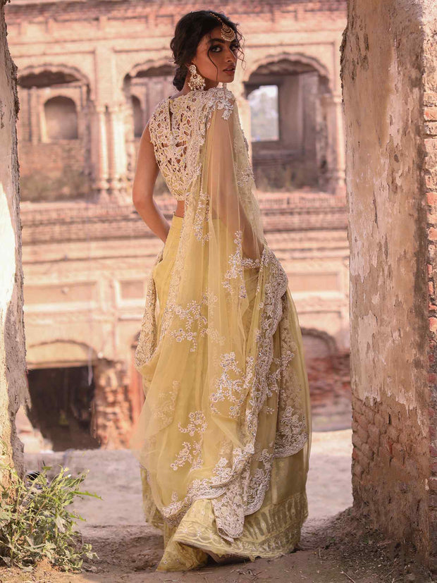 Pakistani Bridal Wear: Yellow Organza Choli & Lehenga