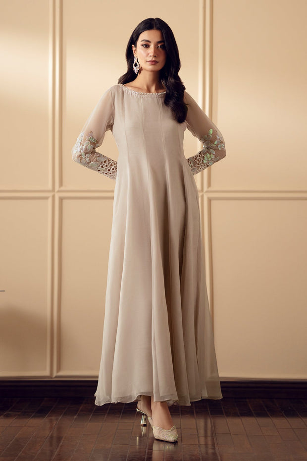 Embroidered Ivory Chiffon Ensemble
