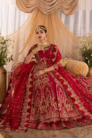 Fuchsia Red Pakistani Bridal Dress with Intricate Embroidery