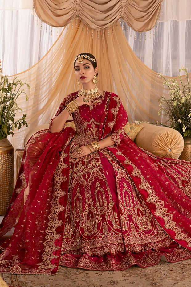 Fuchsia Red Pakistani Bridal Dress with Intricate Embroidery