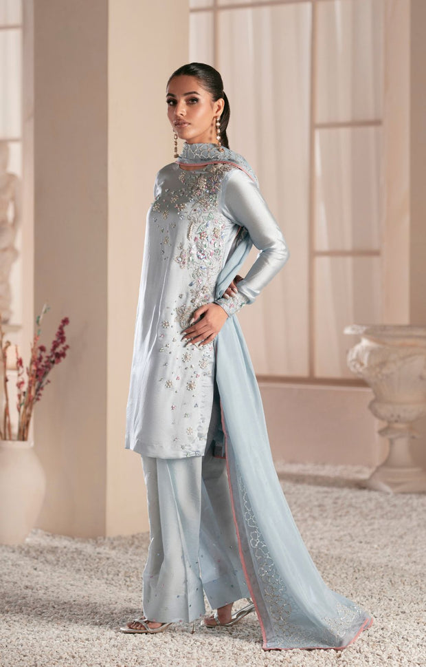 Elegant Silver Grey Pakistani Party Dress for Celebrations