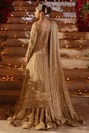 Exquisite Pakistani Bridal Dress with Hand Embroidery and Gown