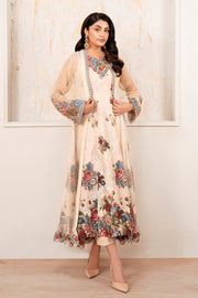 Pakistani Party Dress with Embroidery