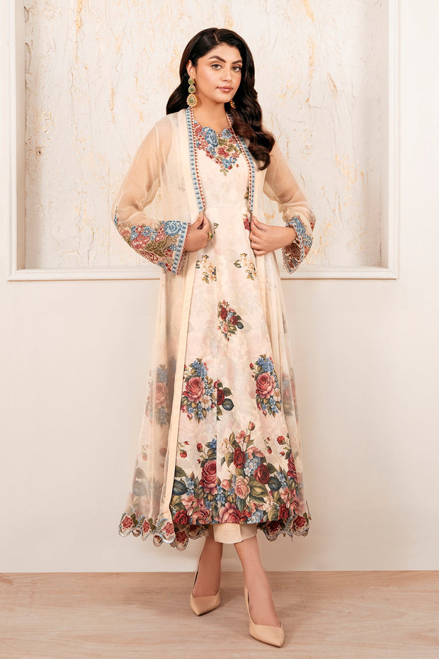 Pakistani Party Dress with Embroidery