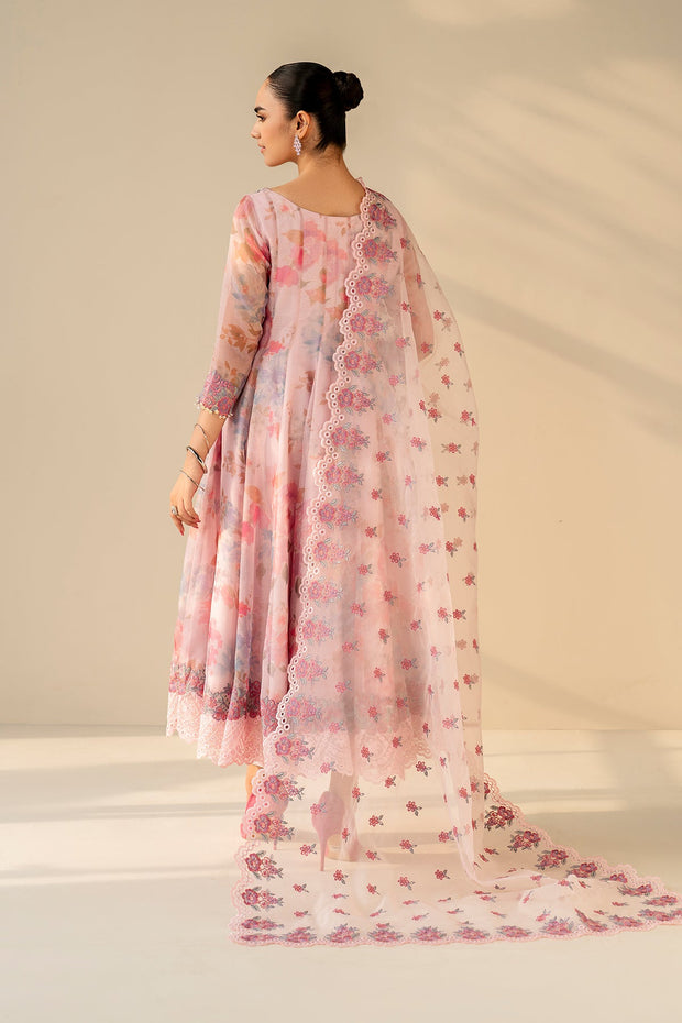 Elegant Organza Dupatta Outfit