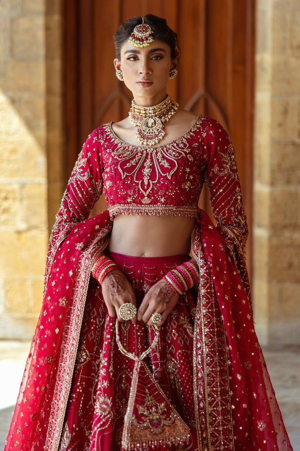 Fuchsia Red Pakistani Bridal Dress with Heavy Embroidery