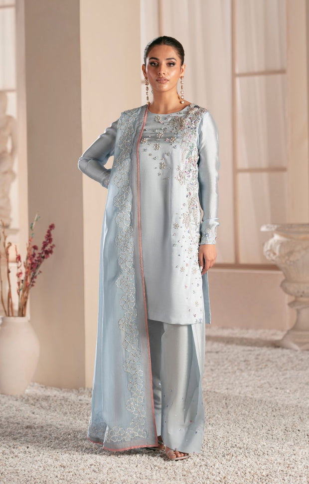 Elegant Silver Grey Pakistani Party Dress for Celebrations