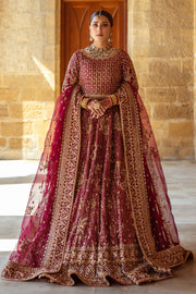 Plum Pakistani Bridal Dress with Heavy Embroidery & Embellishment