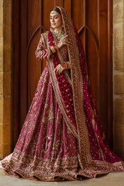 Plum Pakistani Bridal Dress with Heavy Embroidery & Embellishment