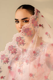 Traditional Pakistani Dress Set