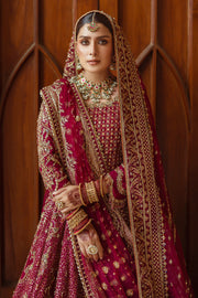 Plum Pakistani Bridal Dress with Heavy Embroidery & Embellishment