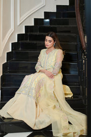 Lime Embroidered Organza Ensemble With Dupatta Pakistani
