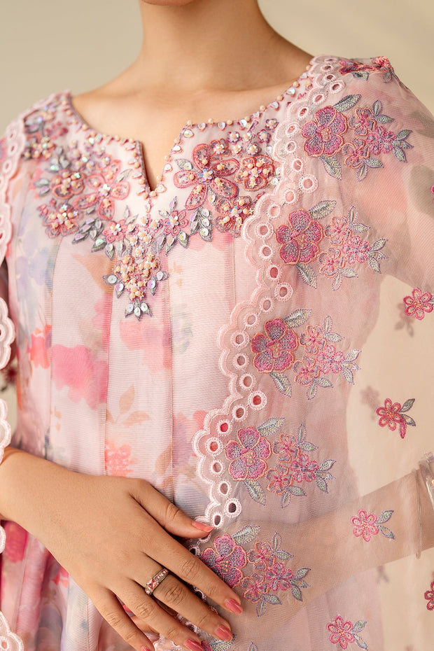 Elegant Organza Dupatta Outfit