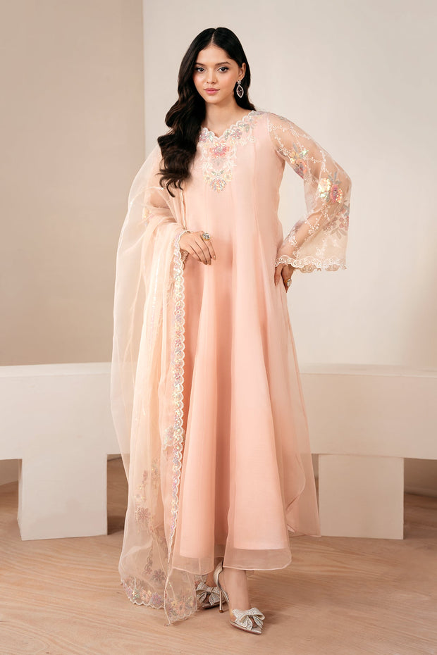 Chiffon Kalidar Shirt with Embroidery