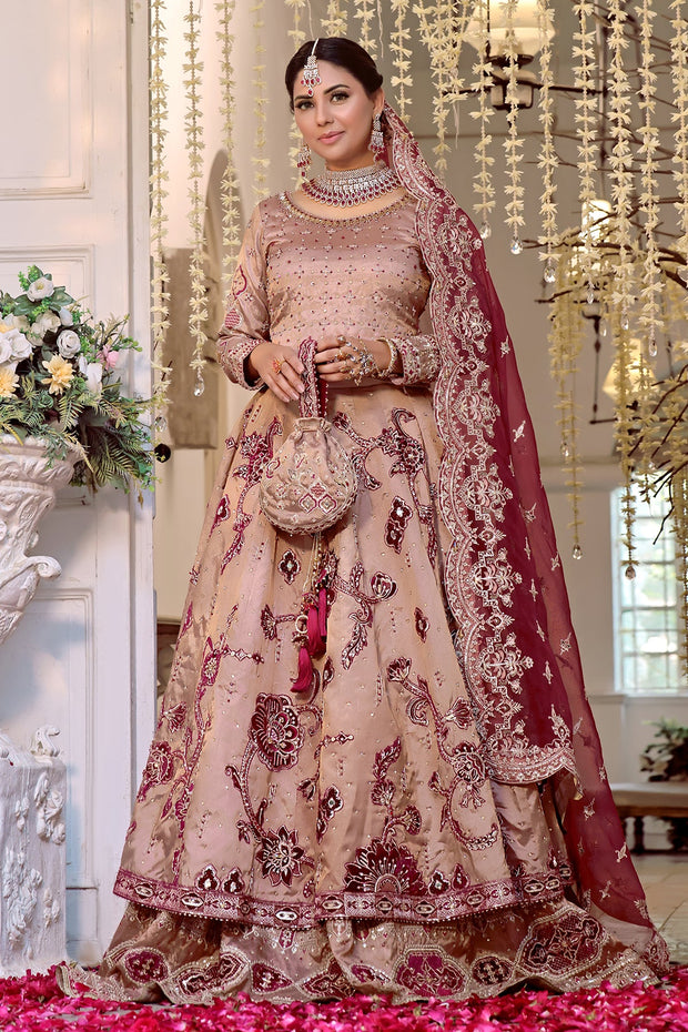 Elegant Pakistani Bridal Dress in Rose Pink & Maroon with Embroid