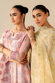 Embroidered Cotton Frock Set