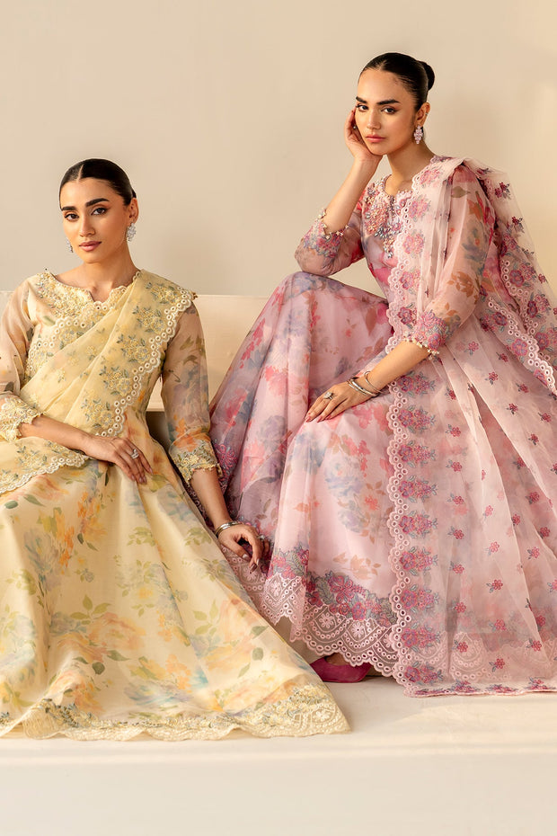 Elegant Organza Dupatta Outfit