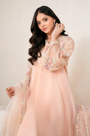 Stylish Pakistani Party Dress Ensemble