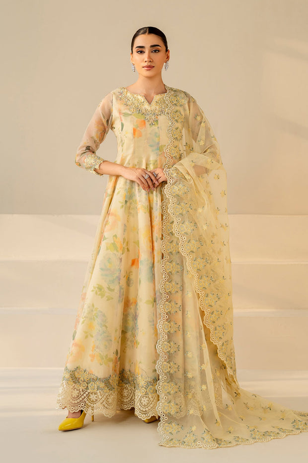 Embroidered Cotton Frock