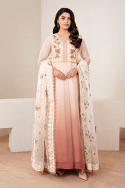 Chiffon Frock with Embroidery