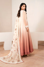Elegant Embroidered Frock