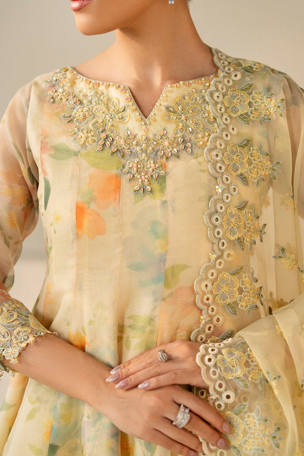 Organza Dupatta Set