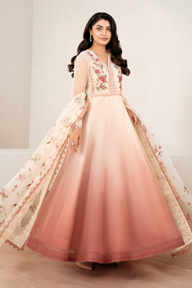 Chic Pakistani Party Dress