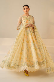 Elegant Cotton Dress