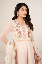 Stylish Chiffon Dress Set