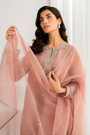Modern Pakistani Party Dress Ensemble