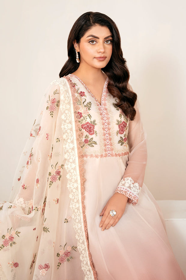 Sophisticated Frock Outfit