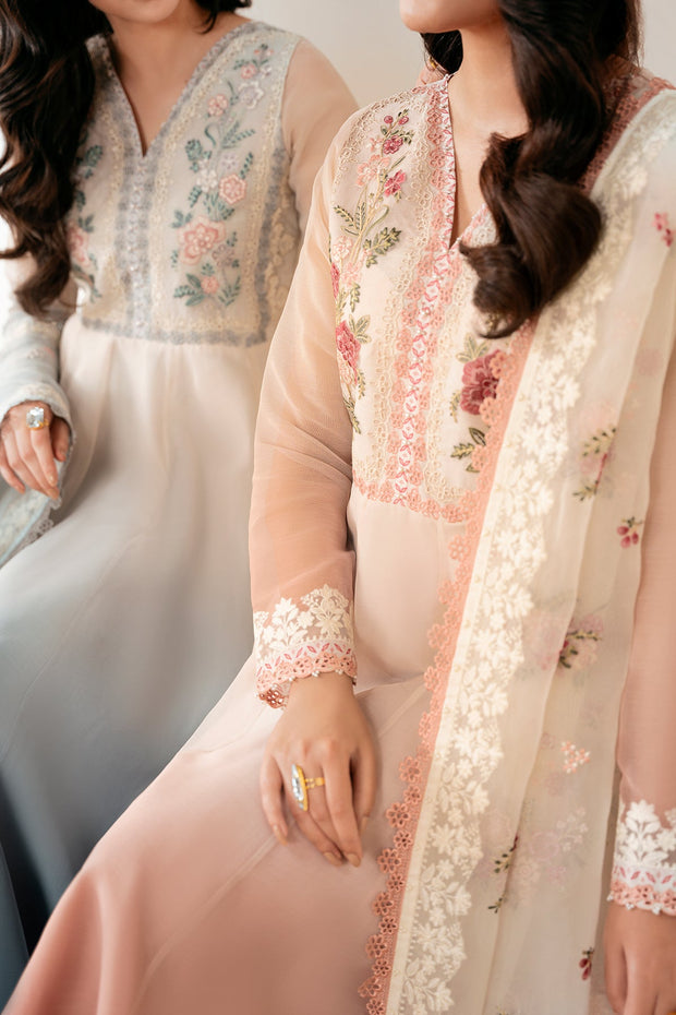 Elegant Embroidered Frock