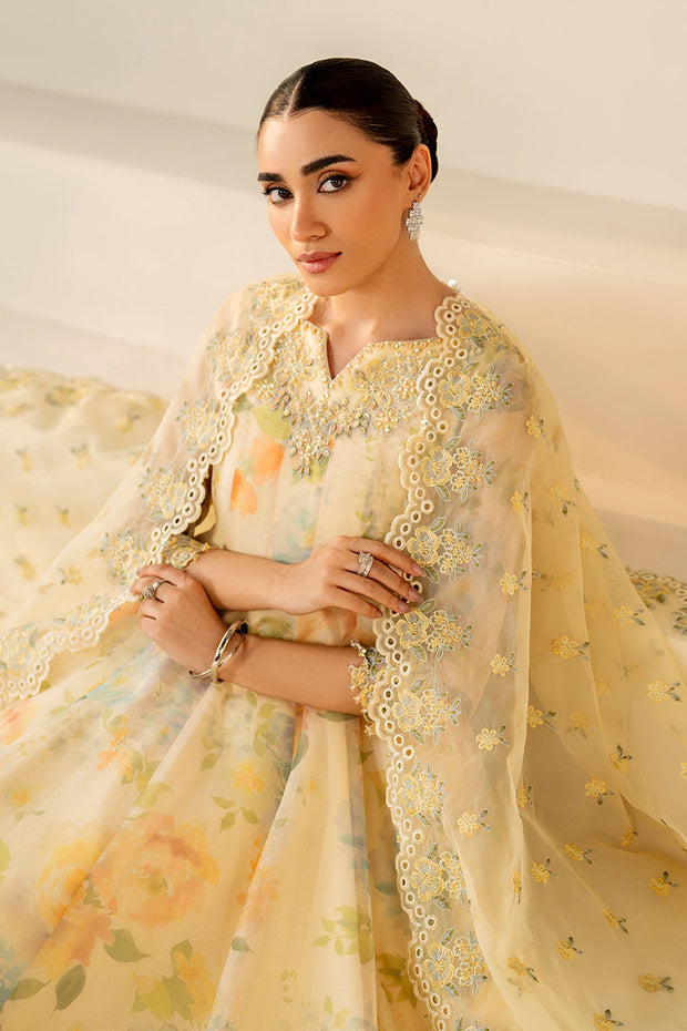 Organza Dupatta Set