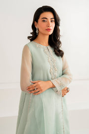 Organza Dupatta with Embroidered Chiffon Shirt